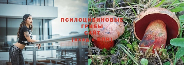 каннабис Алзамай