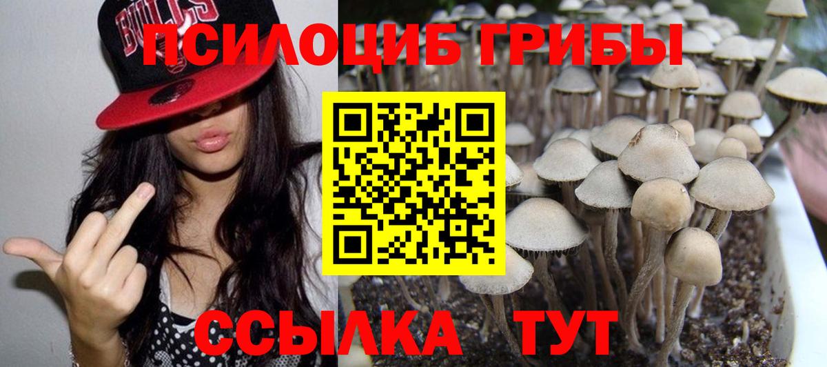 Псилоцибиновые грибы Magic Shrooms Кропоткин